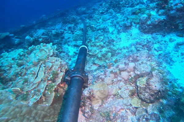 Submarine cable system installed on seabed